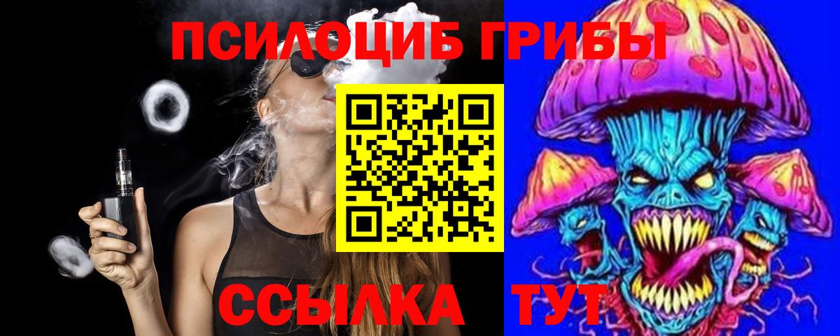 Псилоцибиновые грибы Psilocybe  Вход с VPN  Юрга 